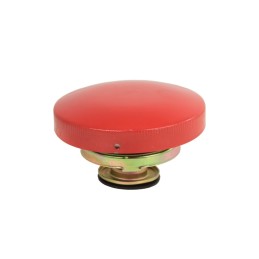 Radiator cap 1698042m91 mf3 1874445m93