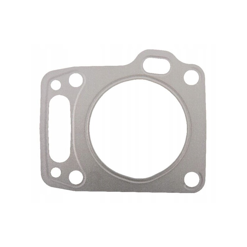 Cylinder head gasket 12251zj1841