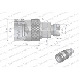 Hydraulic quick connector, M20x1 socket, 5 thread
