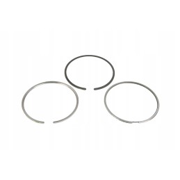 F946201310180 piston ring set