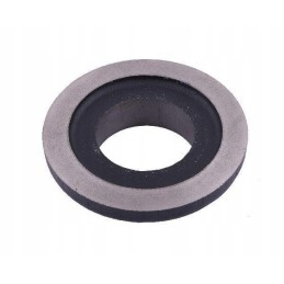 Warynski disk bearing sleeve cap