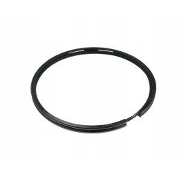 Oil piston ring 110x6x4 65 c 385 ursus