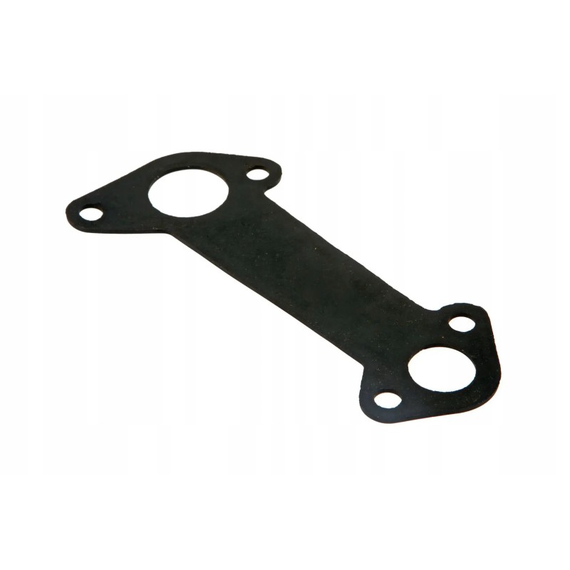 4l22bt 01006 water pump gasket
