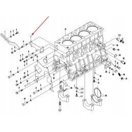 4l22bt 01006 water pump gasket