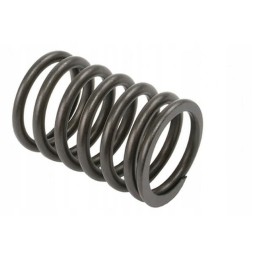 Vpa2000 head valve spring