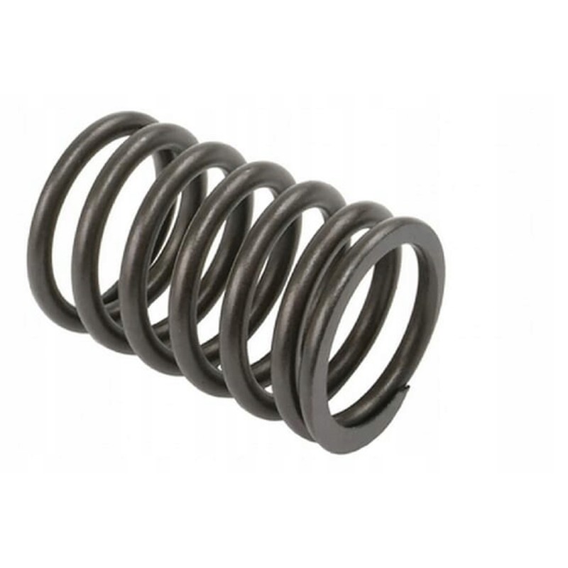 Vpa2000 head valve spring
