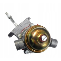 Fuel pump feeding complete mf 4222108m91