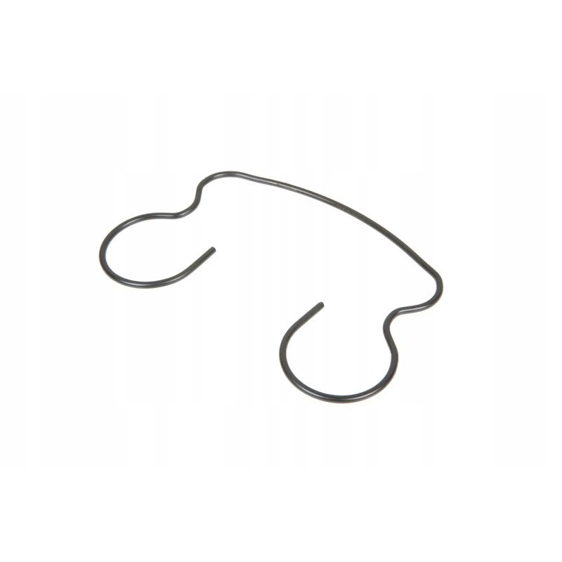 100035910 shaker spring