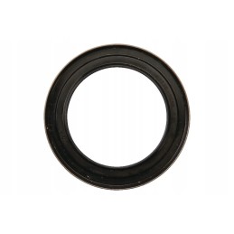 245856 sealing ring cnh