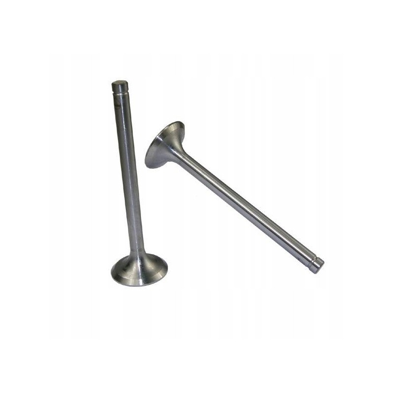 Exhaust valve 89005902 c 385 original Ursus