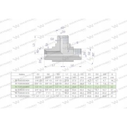 Hydraulic tee inch bbb 1 2 bsp xt