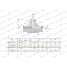 Hydraulic tee inch bbb 3 4 bsp xt