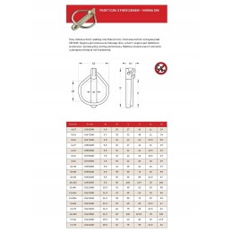 Din rubig pin with ring 10x100 oe9 5