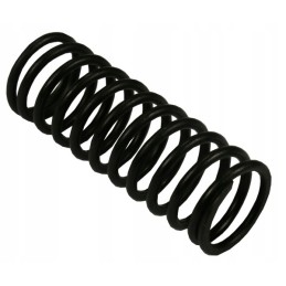 Internal valve spring 10 c 330 original born