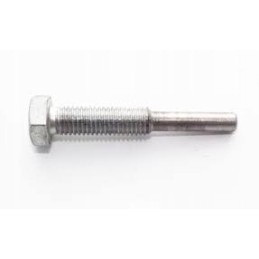 Bonnet hinge screw for c 330 50015770