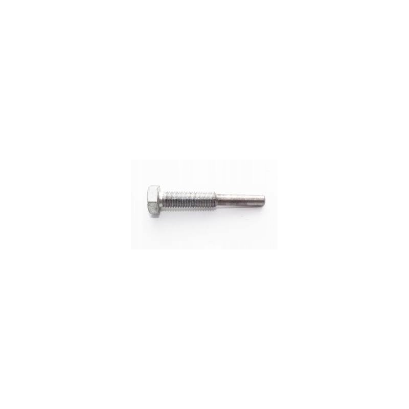 Bonnet hinge screw for c 330 50015770