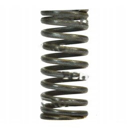 Internal valve spring for t 25 wladimirec d37e