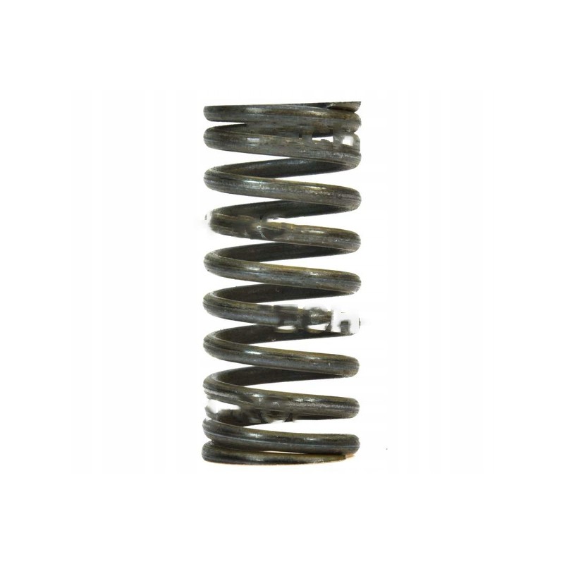 Internal valve spring for t 25 wladimirec d37e