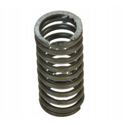 Internal valve spring for t 25 wladimirec d37e