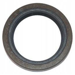 Briggs stratto shaft seal