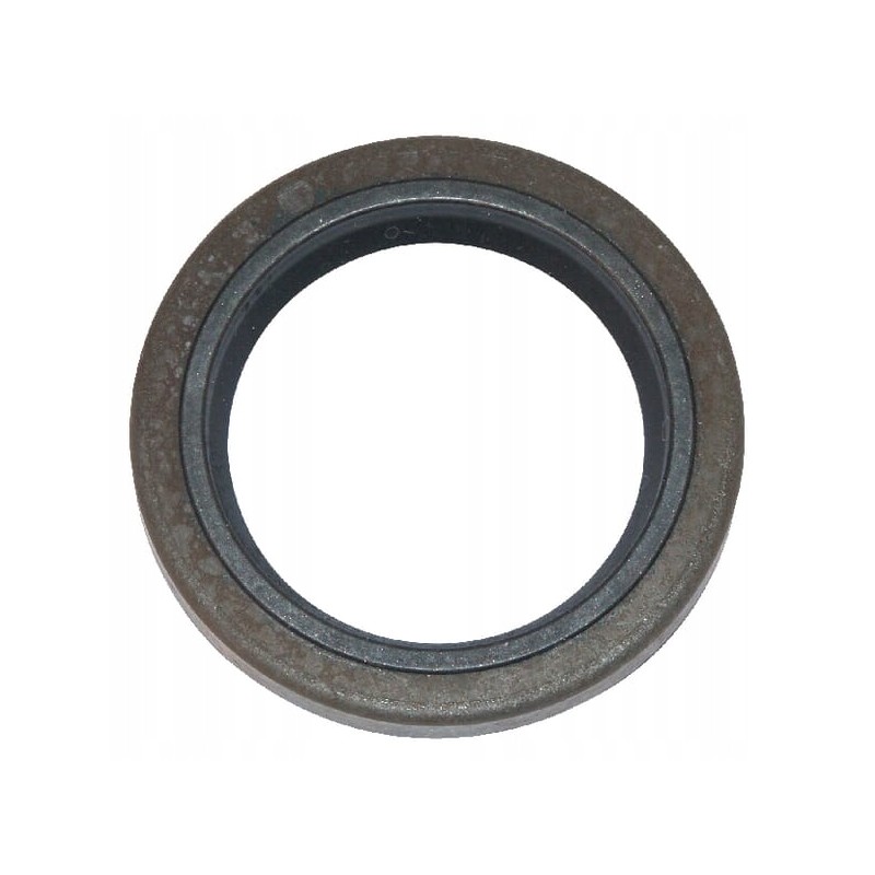 Briggs stratto shaft seal