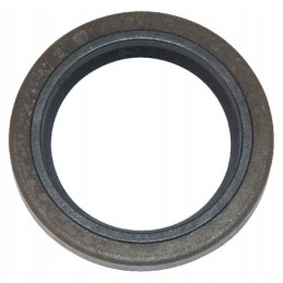 Briggs stratto shaft seal