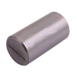 Satellite pin of the mf3 reducer, original ursus