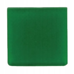Green switch symbol with glass insert