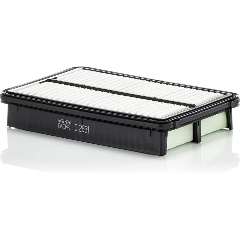 Air filter c2631 p3a