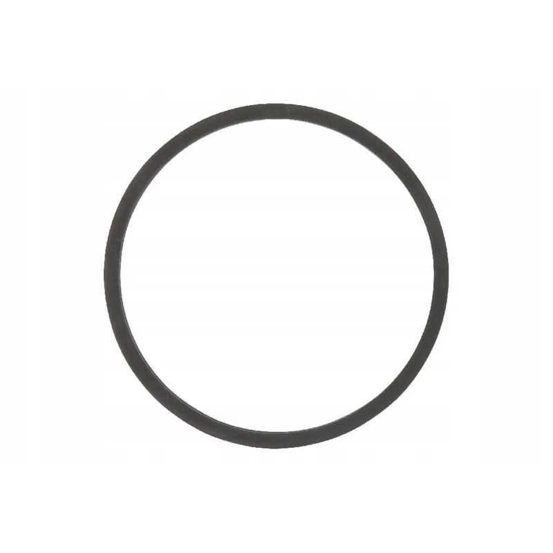 F119200050050 thermostat gasket