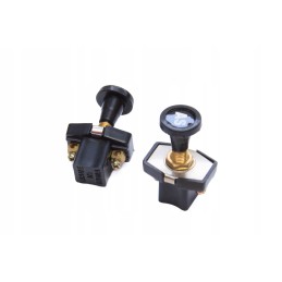 Short pull-out switch 80350965 p178 12 24v