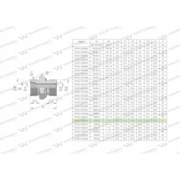 Hydraulic connection bb xge m30x2 22l x 1