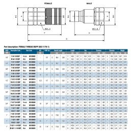 Dry cut quick connector PLT plug A15 3 4