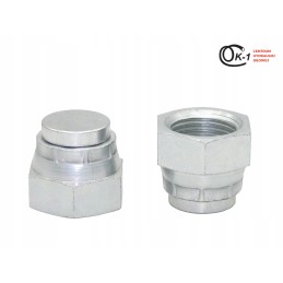 Plug, hydraulic plug, internal thread, BSP 3 8