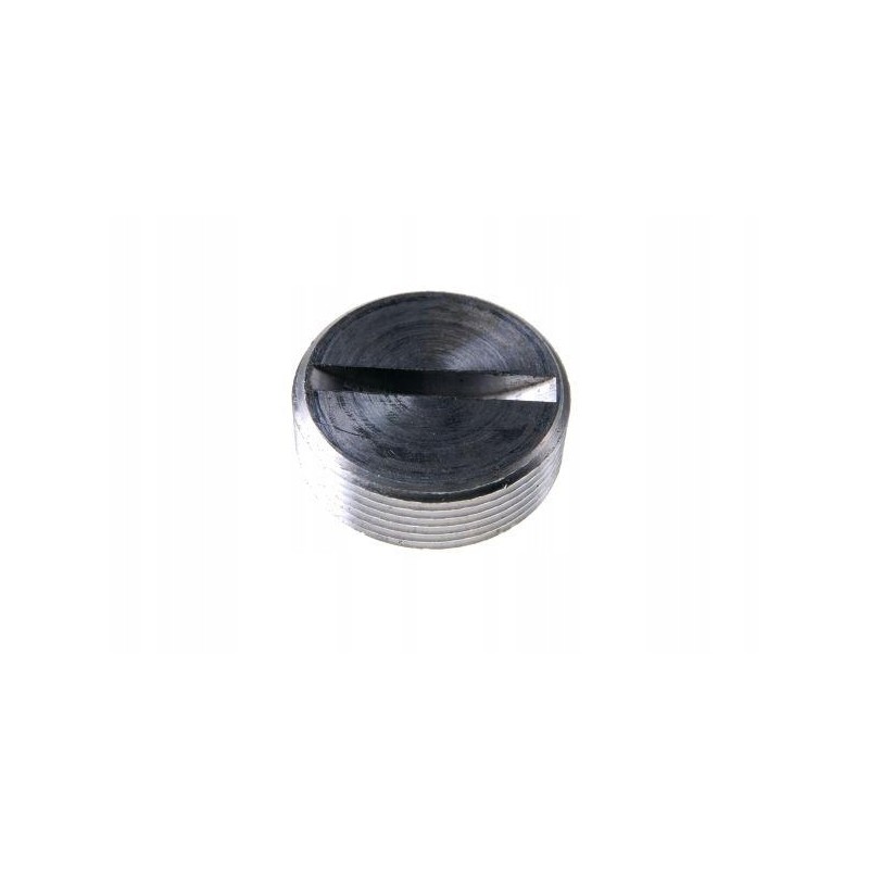 Crankshaft plug c 385 80003013