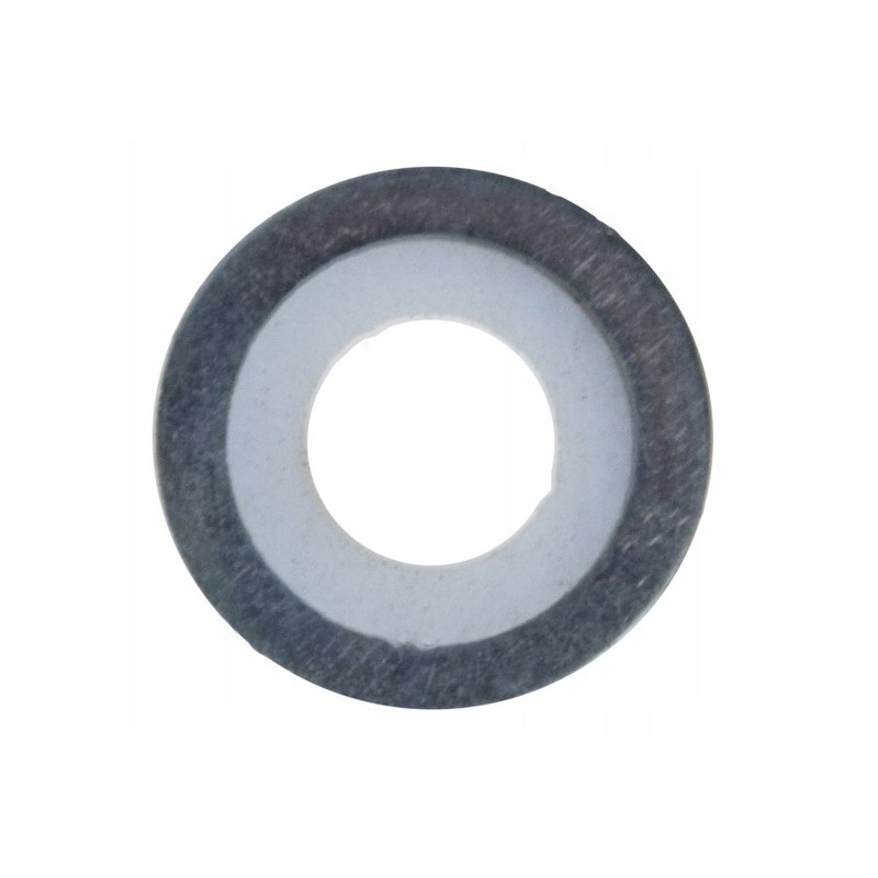 Injector washer for mtz80 82 245 1111020 pro