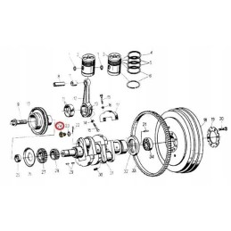 Crankshaft plug c 330 50100600