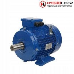 Engine 400v b3 2 2kw g100l 1420rpm hydrolider