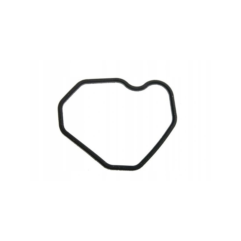 Ursus C360 keyboard head cover gasket