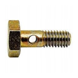 Drazon screw m6x1 l 17 374205001