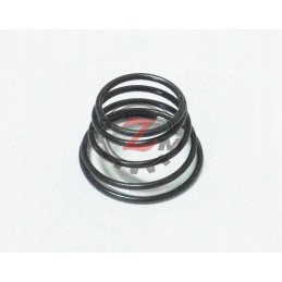Zetor spring 78007058