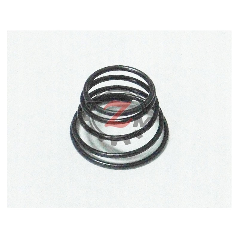 Zetor spring 78007058