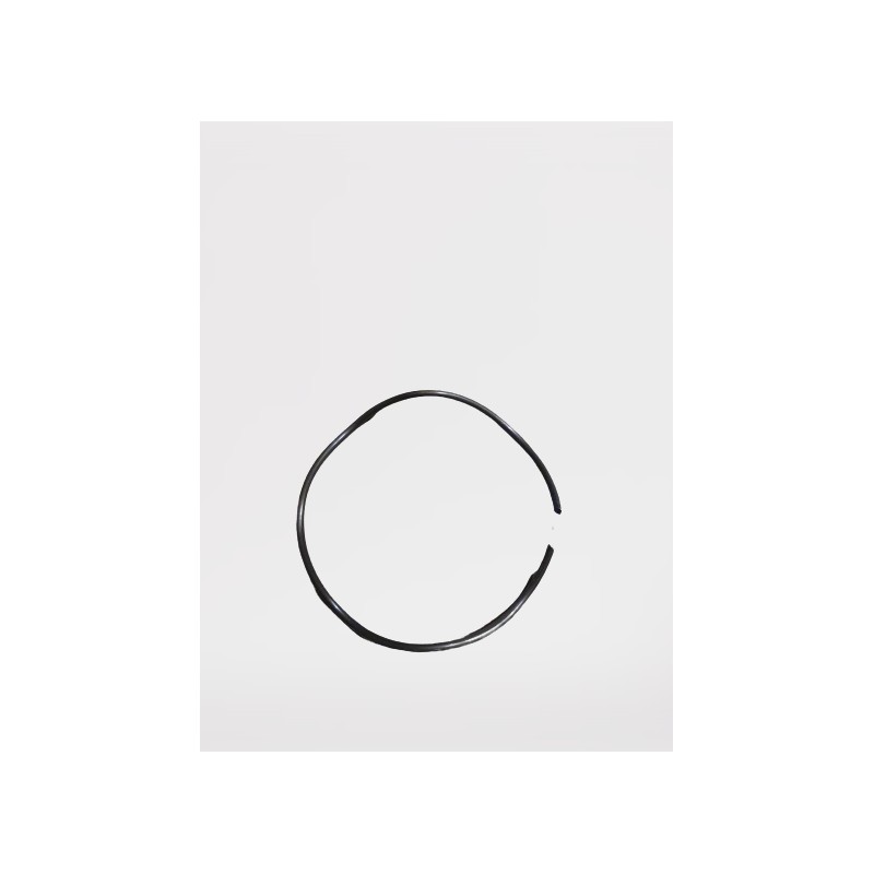 Ursus C 360 wheel shaft spring