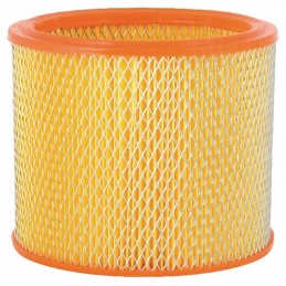 The air filter insert fits the Bison