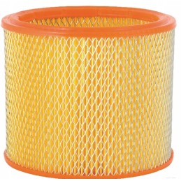 The air filter insert fits the Bison