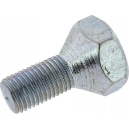 Wheel bolt