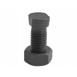 Plug screw with nut M12x34