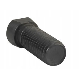 Plug screw with nut M12x34