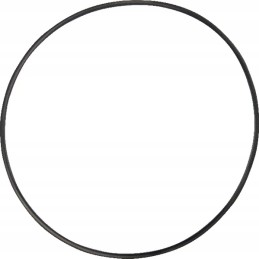 Sealing ring 1120700901