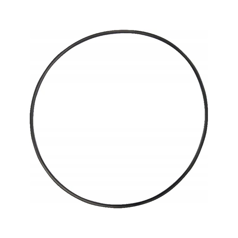 Sealing ring 1120700901